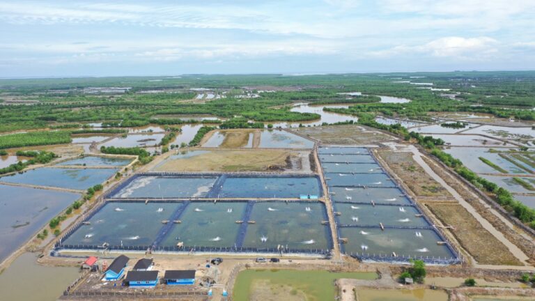 Rs. 2,398.72 Crore investment approved for fisheries development in Andhra Pradesh