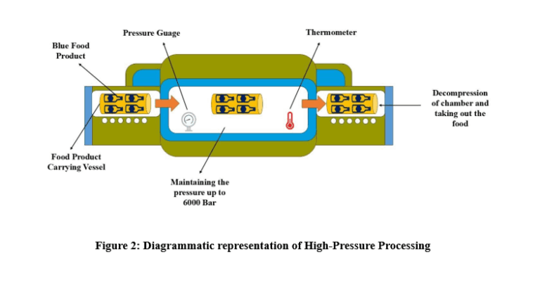 Manav Rachna Unveils Breakthrough Blue Food Tech to Tackle Global Nutrition and Sustainability Crisis