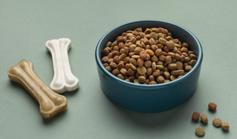 Reliance RCPL enters pet-care market with ‘Waggies’