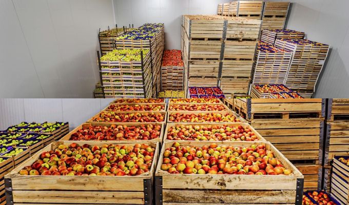 Strengthening India’s Agri-Value Chains: Why Post-Harvest Infrastructure is the Missing Link