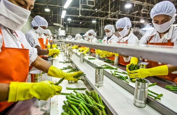 India’s Food Processing Sector Set to Hit $700B by FY2030: Expert